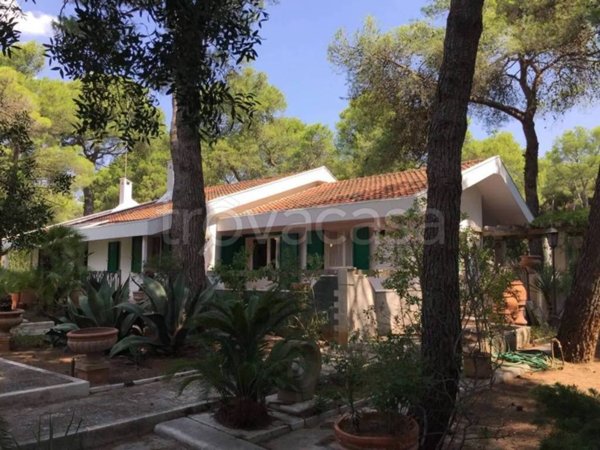 casa indipendente in affitto a Ginosa