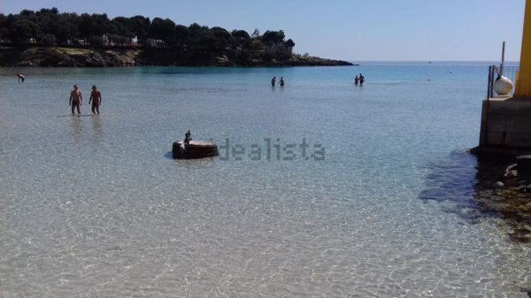 immagine annuncio 0 di 1
