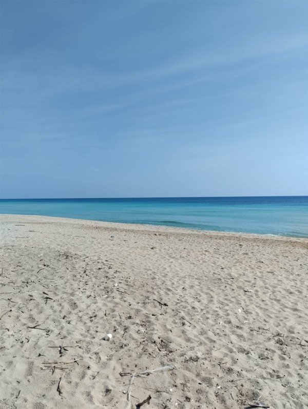 casa indipendente in affitto a Manduria in zona San Pietro in Bevagna