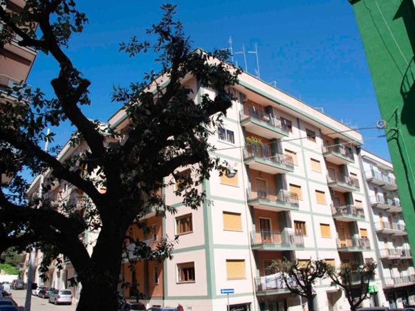 appartamento in affitto a Martina Franca in zona Centro Storico
