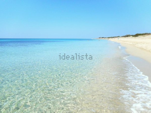 immagine annuncio 0 di 15