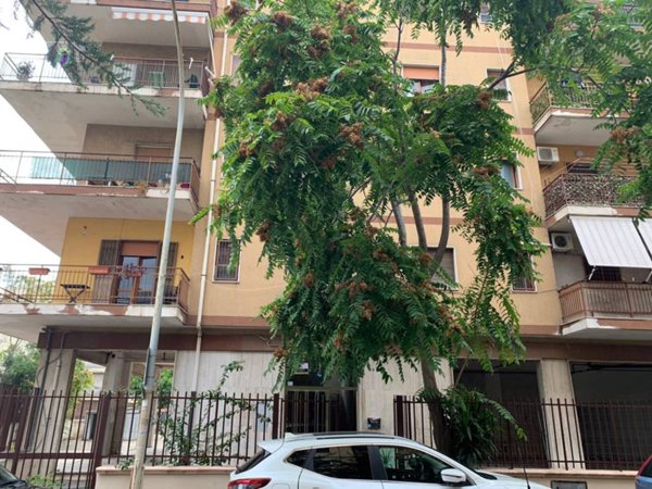 appartamento in affitto a Taranto in zona Tre Carrare-Battisti