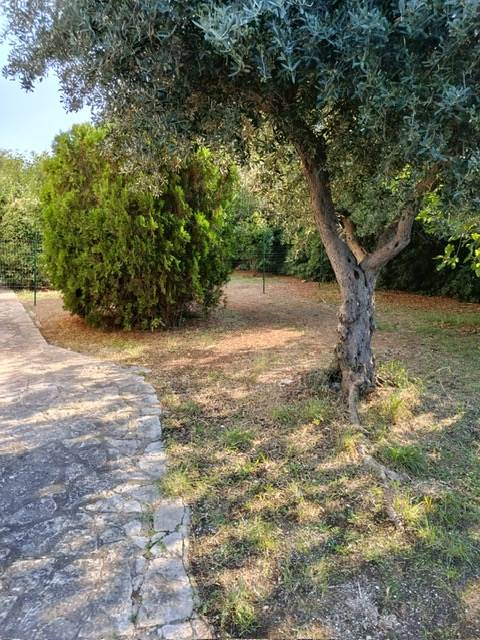 appartamento in affitto a Statte