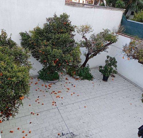 appartamento in affitto a Brindisi