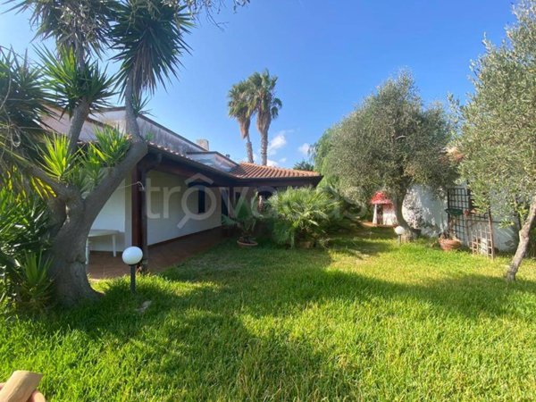 casa indipendente in affitto a Carovigno