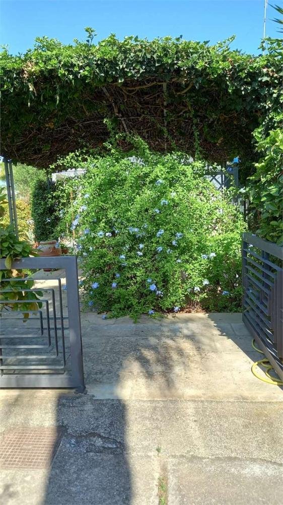 casa indipendente in affitto a Carovigno
