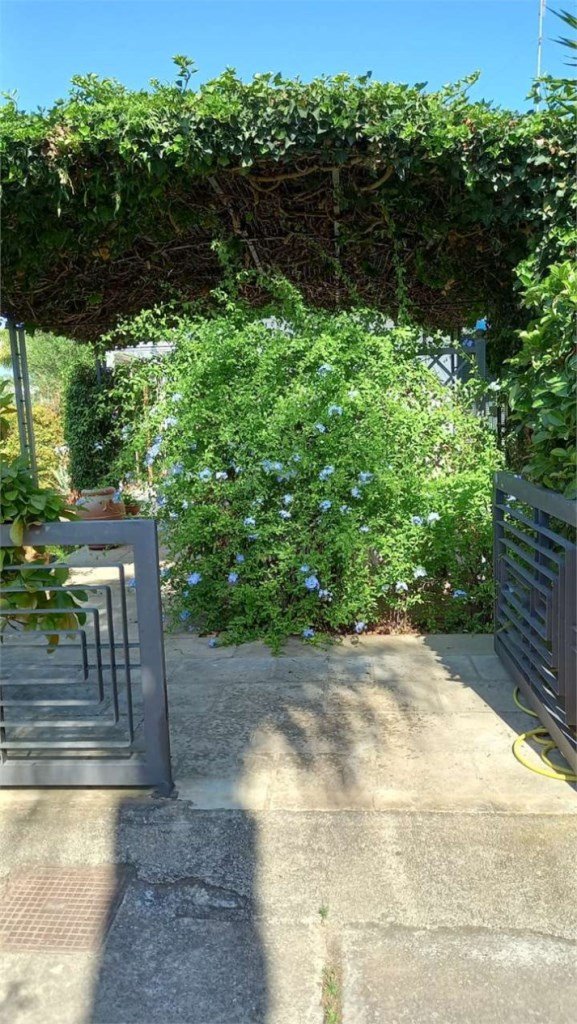 casa indipendente in affitto a Carovigno