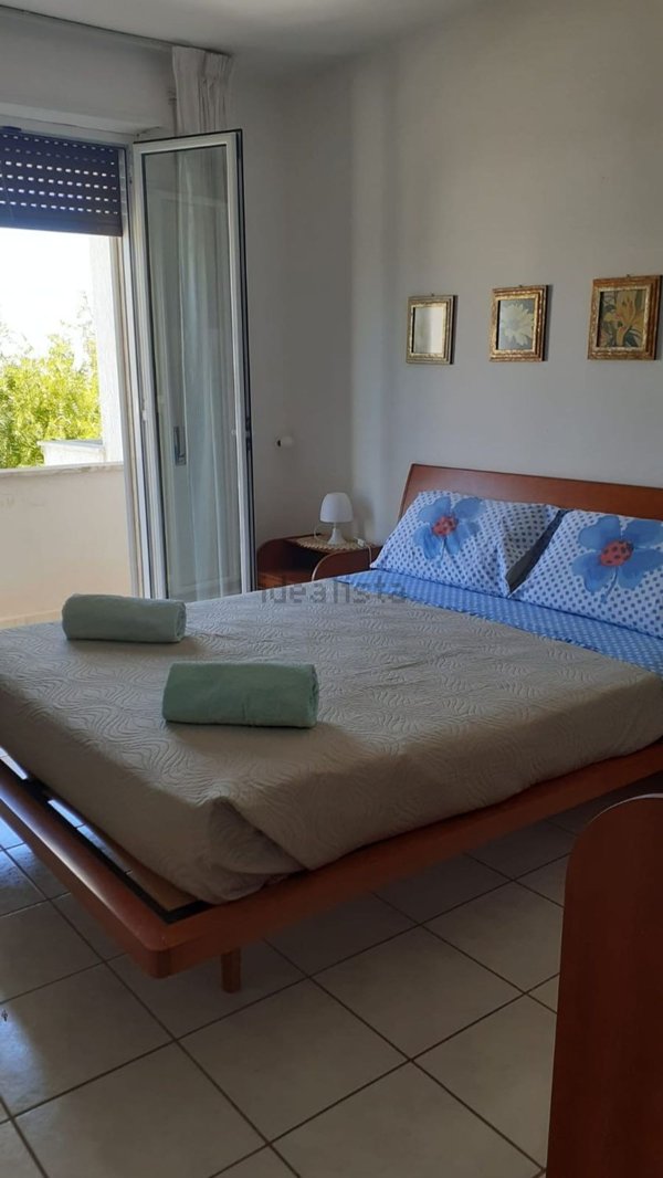 casa indipendente in affitto a Carovigno