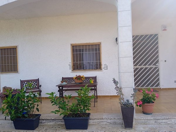 appartamento in affitto a Carovigno