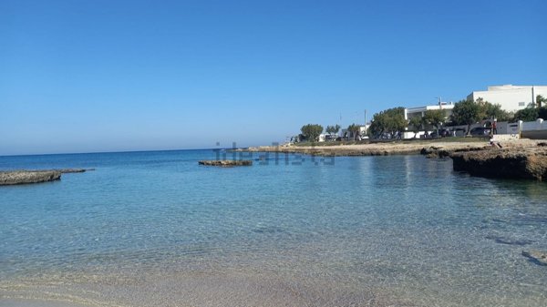 appartamento in affitto a Carovigno