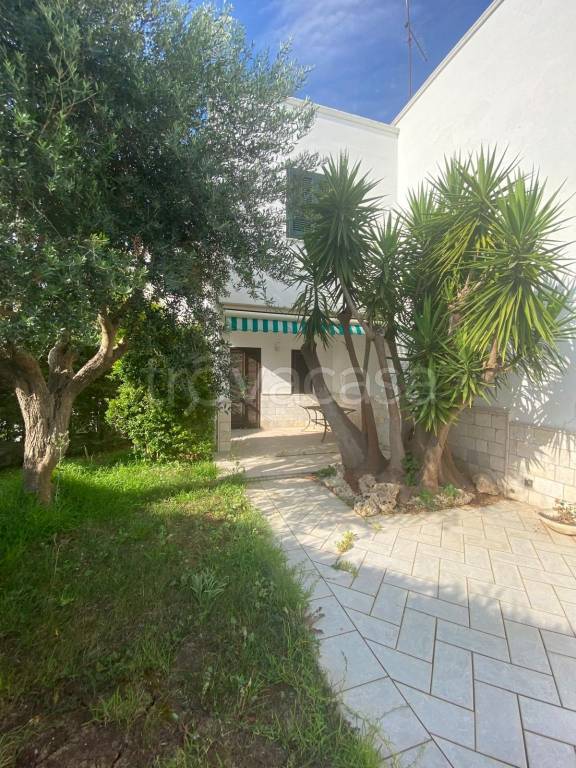 casa indipendente in affitto a Carovigno