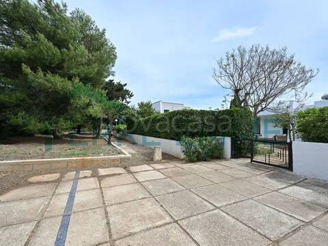 casa indipendente in affitto a Carovigno in zona Serranova