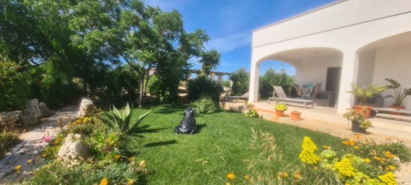 casa indipendente in affitto a Carovigno in zona Torre Santa Sabina