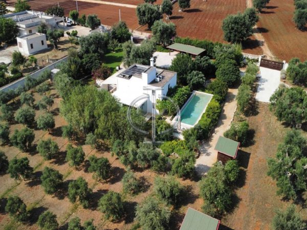 casa indipendente in affitto a Fasano in zona Savelletri