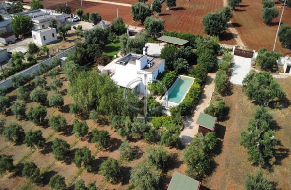 casa indipendente in affitto a Fasano