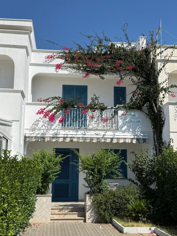 casa indipendente in affitto a Fasano in zona Savelletri