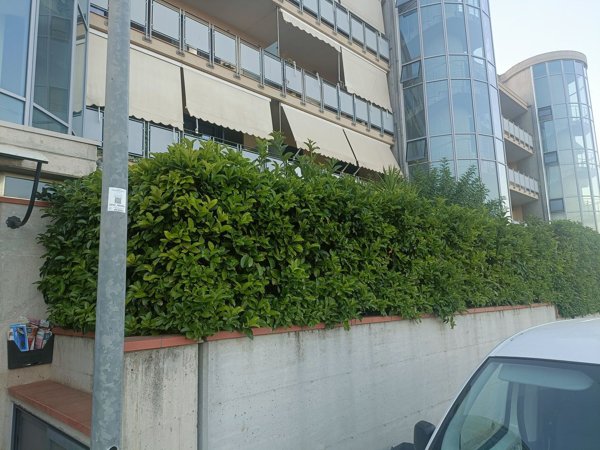 appartamento in affitto a Francavilla Fontana