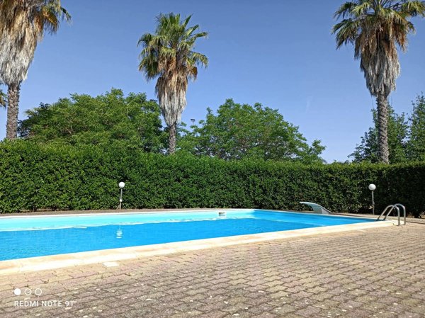 casa indipendente in affitto a Mesagne