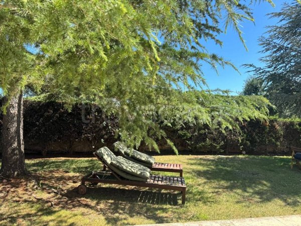 appartamento in affitto ad Ostuni