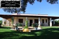 casa indipendente in affitto ad Ostuni