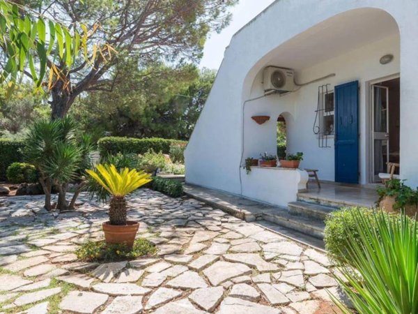 casa indipendente in affitto ad Ostuni
