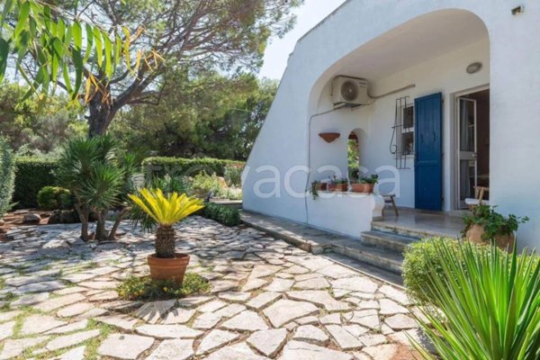 casa indipendente in affitto ad Ostuni
