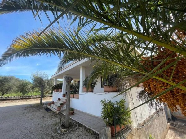 casa indipendente in affitto ad Ostuni