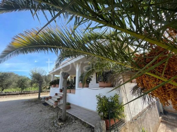 casa indipendente in affitto ad Ostuni