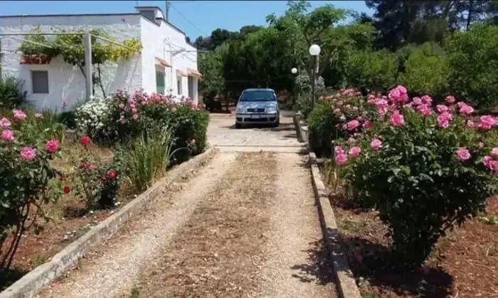casale in affitto ad Ostuni