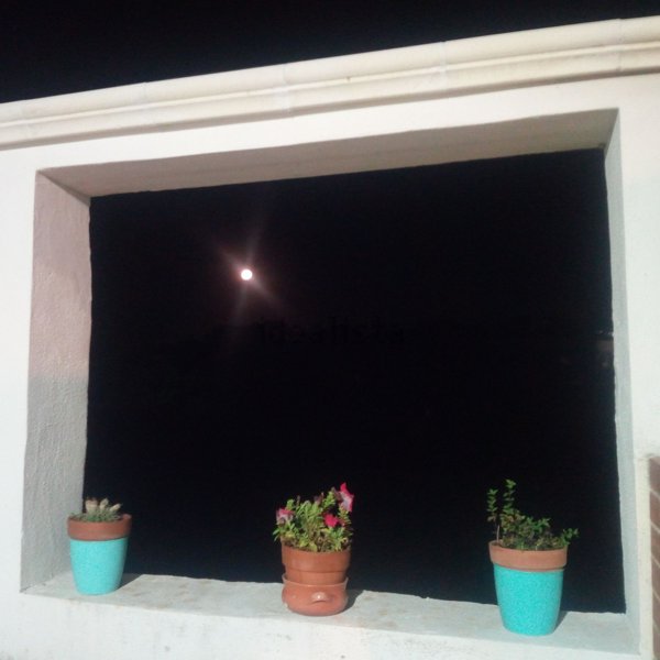 appartamento in affitto ad Ostuni