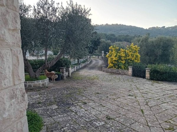 casa indipendente in affitto ad Ostuni