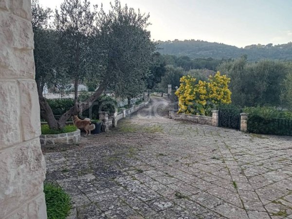 casa indipendente in affitto ad Ostuni