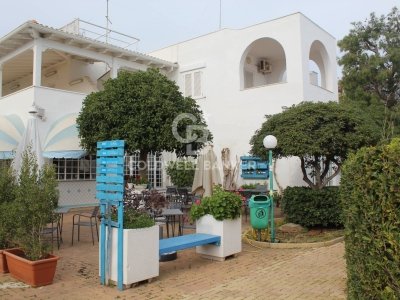 appartamento in affitto ad Ostuni in zona Rosa Marina