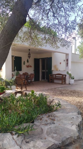 casa indipendente in affitto ad Ostuni