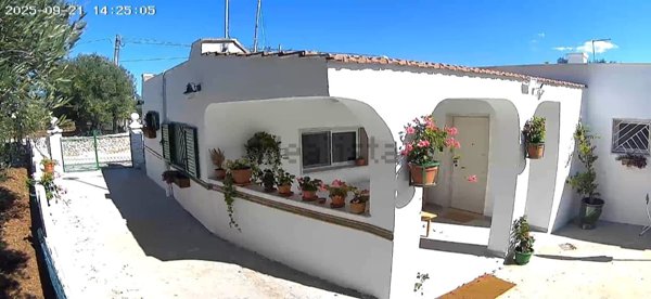 casa indipendente in affitto ad Ostuni