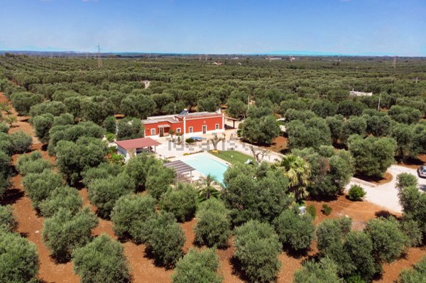 casa indipendente in affitto a San Vito dei Normanni