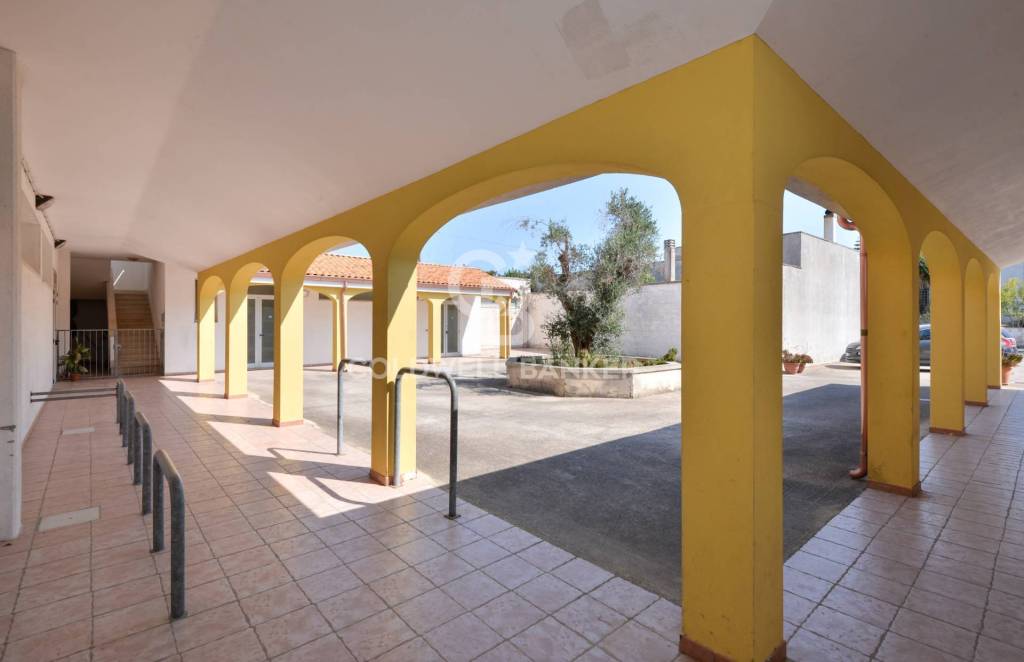 immagine annuncio 0 di 15