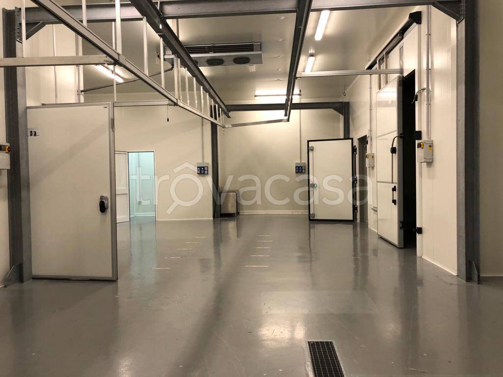 locale commerciale in affitto a Copertino