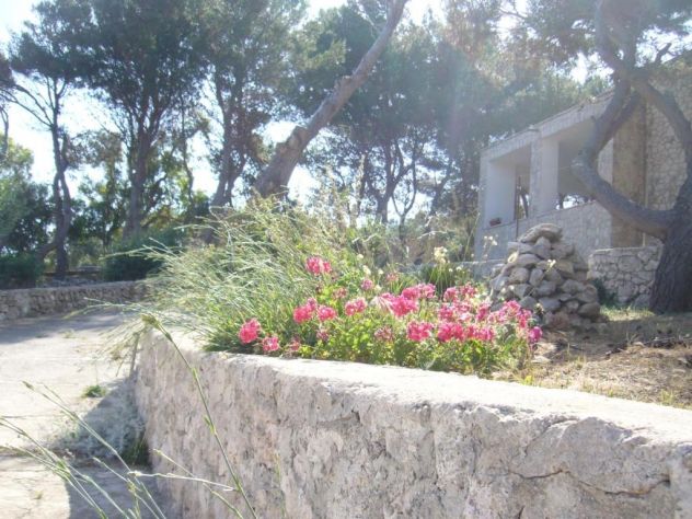 casa indipendente in affitto a Gagliano del Capo