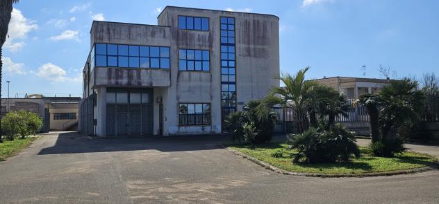 negozio in affitto a Galatone