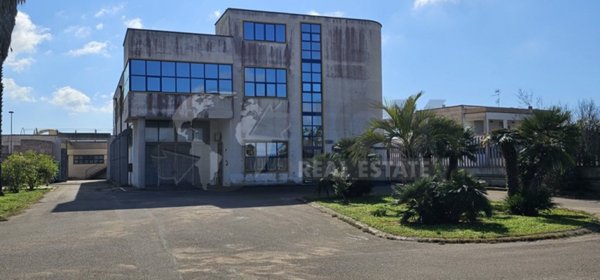 negozio in affitto a Galatone