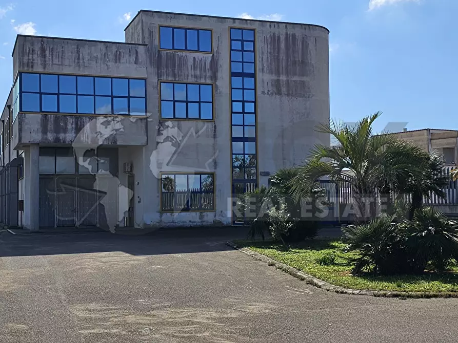 mansarda in affitto a Galatone