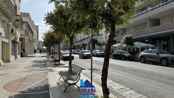 negozio in affitto a Gallipoli