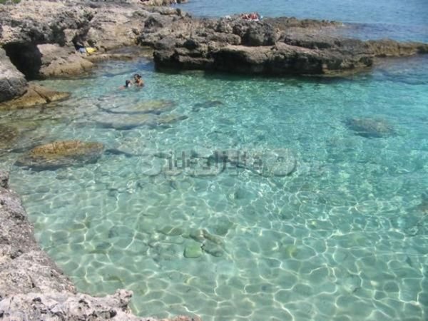 casa indipendente in affitto a Gallipoli