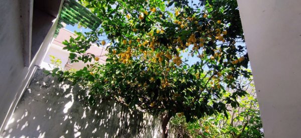 appartamento in affitto a Lecce