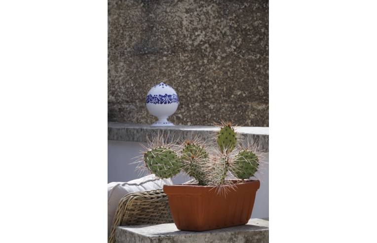 camera singola in affitto a Lecce in zona Centro Città