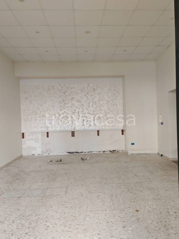 trivano in affitto a Maglie