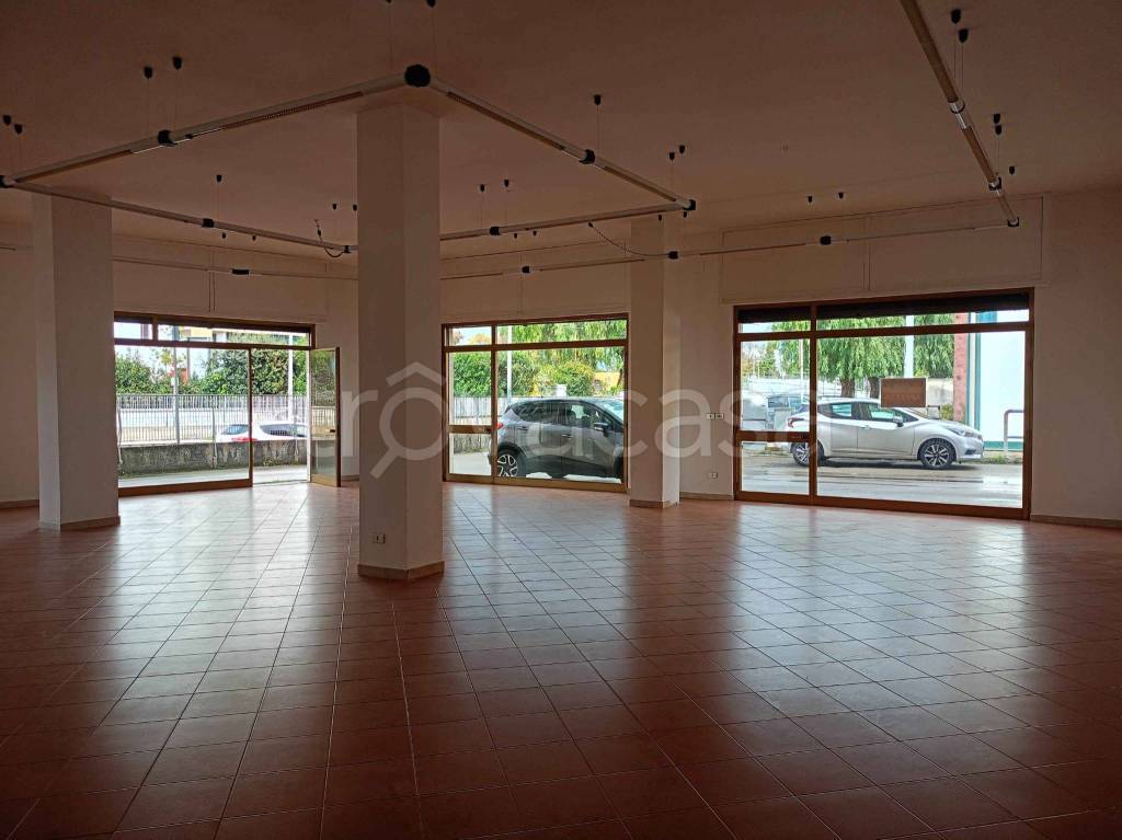 negozio in affitto a Maglie