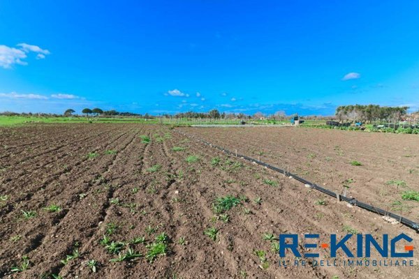 villa in affitto a Matino