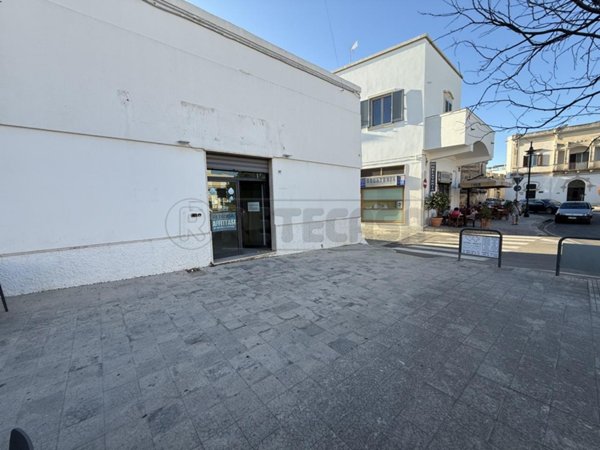 appartamento in affitto a Nardò